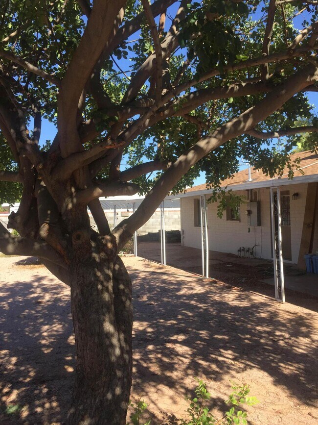 Building Photo - 1234 E Riviera Dr