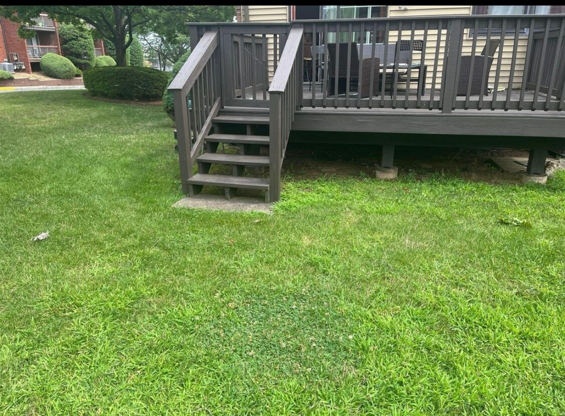 Building Photo - 209 Maple Hill Dr