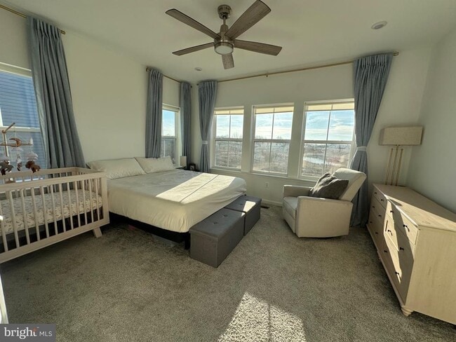 Building Photo - 310 Andrew Ct