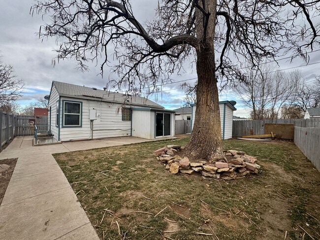 Building Photo - Newly Renovated 3 Separate Dwelling property in Denver! Available NOW