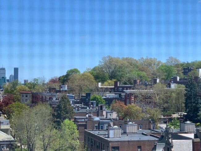 Building Photo - 1731 Beacon St