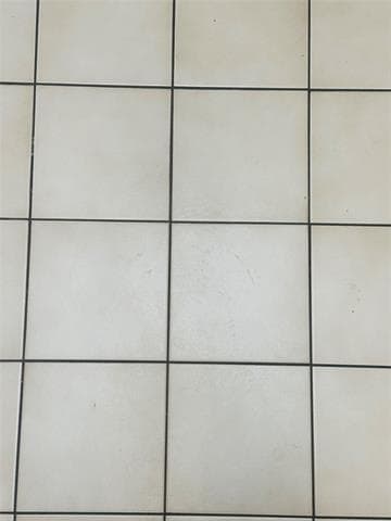 Building Photo - 2621 Ozark Dr