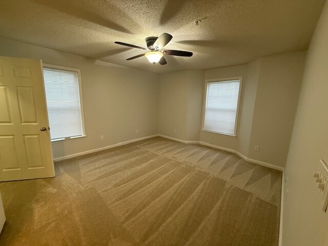 Building Photo - 5008 Lawndale Dr