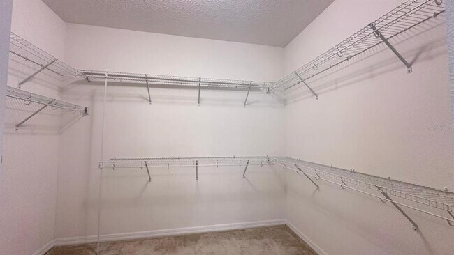 Building Photo - 3331 Forton Dr