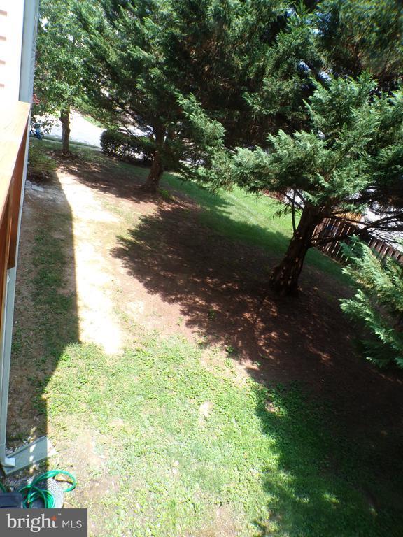 Building Photo - 114 Park Cove Dr