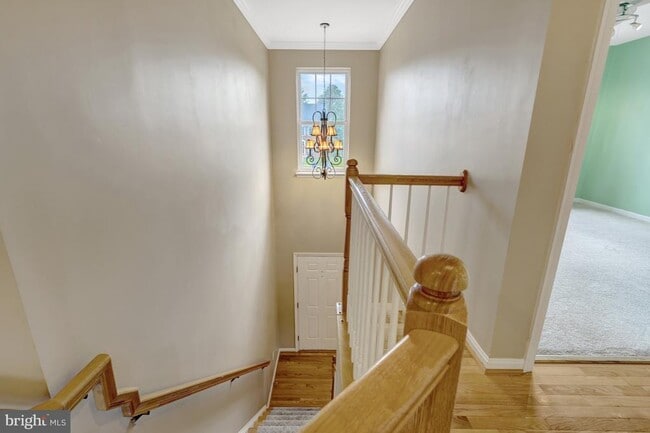 Building Photo - 6001 Alderdale Pl