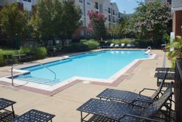 Pool and Sundeck - 4854 Eisenhower Ave