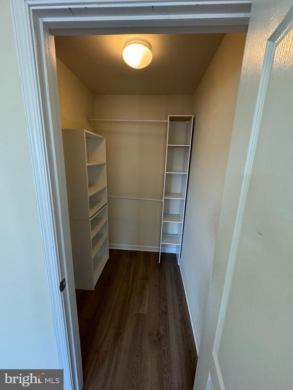 Building Photo - 7814 Quidditch Ln