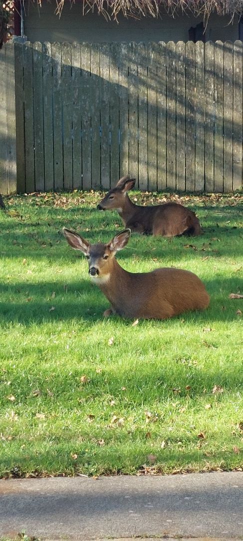 Building Photo - Charming 3-Bedroom home near BTC