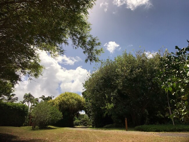 Building Photo - A Modernist Tropical Haven on Maui’s North...