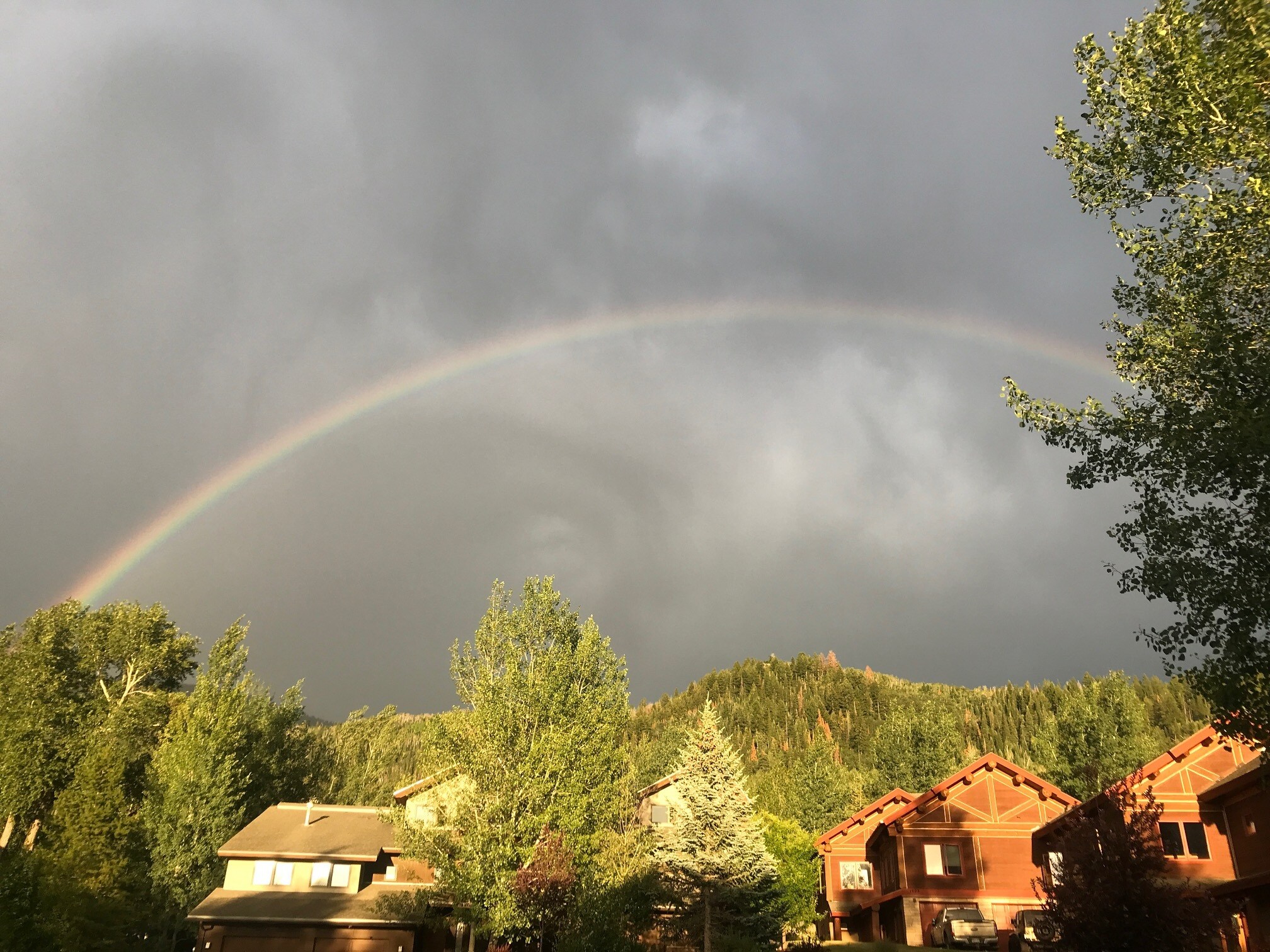 Building Photo - 1887 Hunters Dr