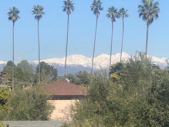 View from Building (East/Front) Winter - Amber Crest Apartments