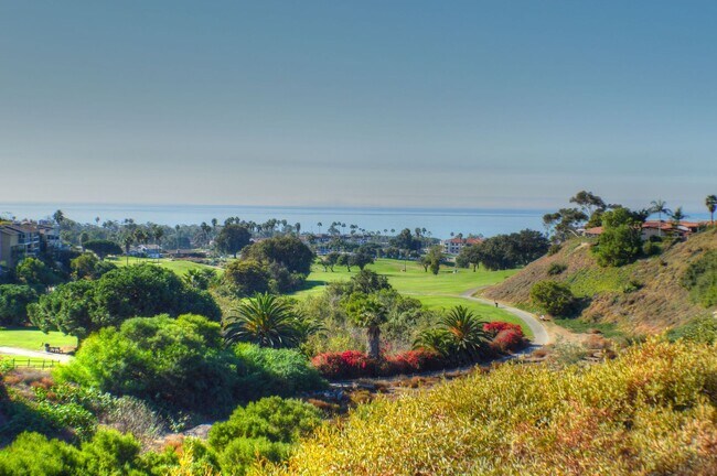 Building Photo - Panoramic ocean view from this 2 bedroom condo up on the hills of San Clemente