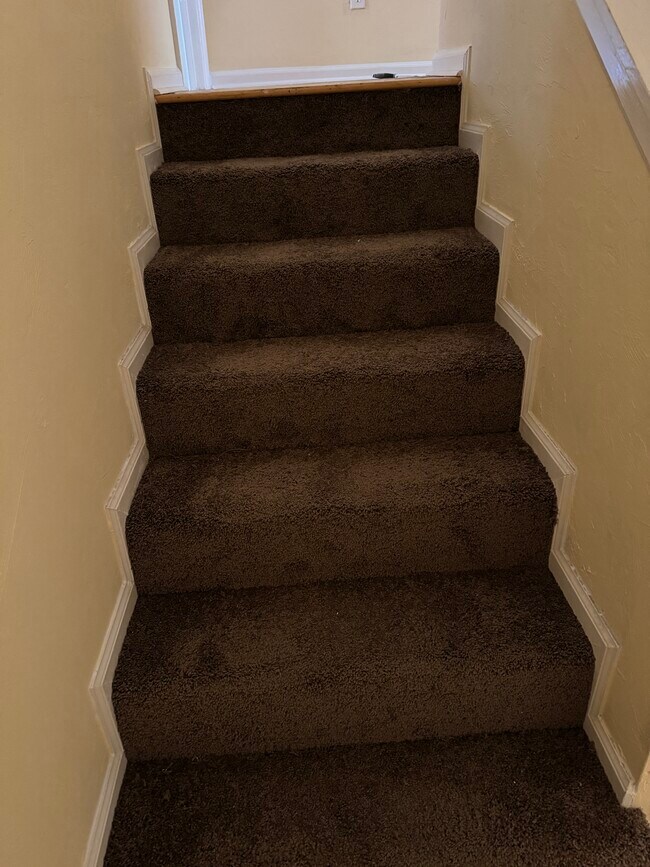 new carpet installed 04/08/25 - 494 Teal Ln