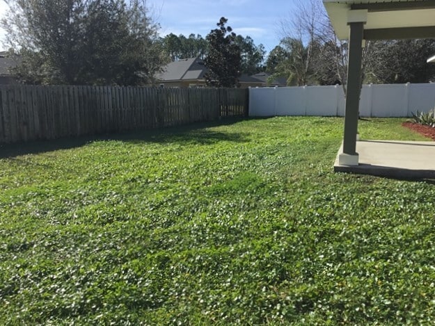 Building Photo - 351 N Twin Maple Rd