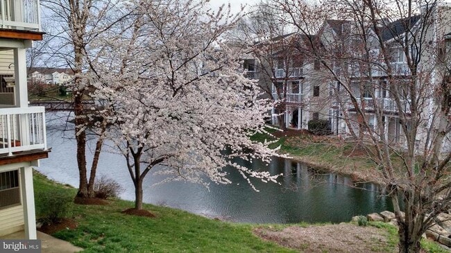 Building Photo - 20602 Cornstalk Terrace