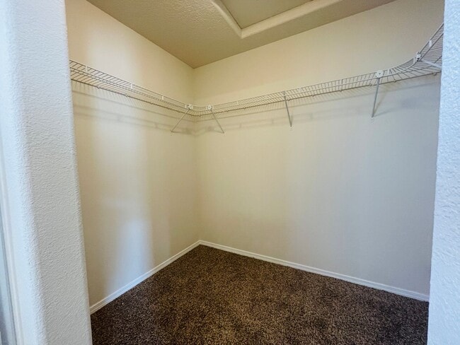 Building Photo - 4 bed 2 bath home in Huning Ranch.