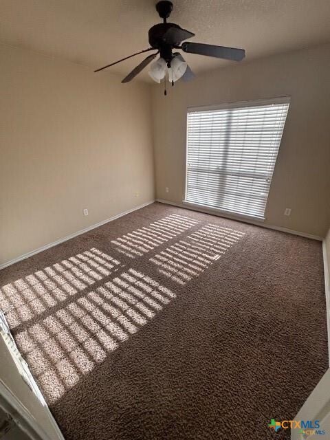 Building Photo - 2517 Vernice Dr