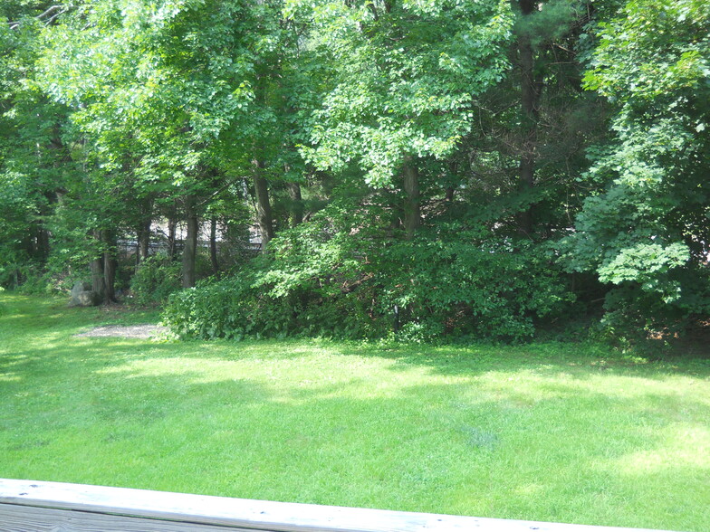 Yard - 125 Central St