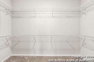 Building Photo - 1026 Orchid Grove