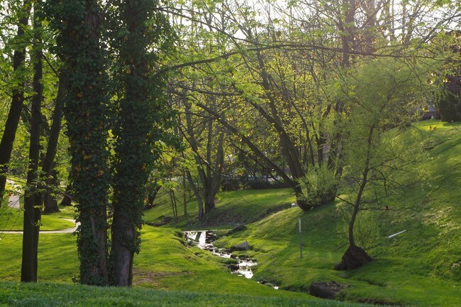 Building Photo - 280 Bridgewater Rd