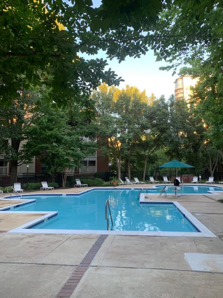 Poo area - 1527 Lincoln Way