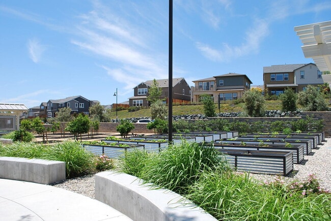 Building Photo - Beautifully Upgraded Contemporary Home in Wallis Ranch ! Close to Quarry Lane School !