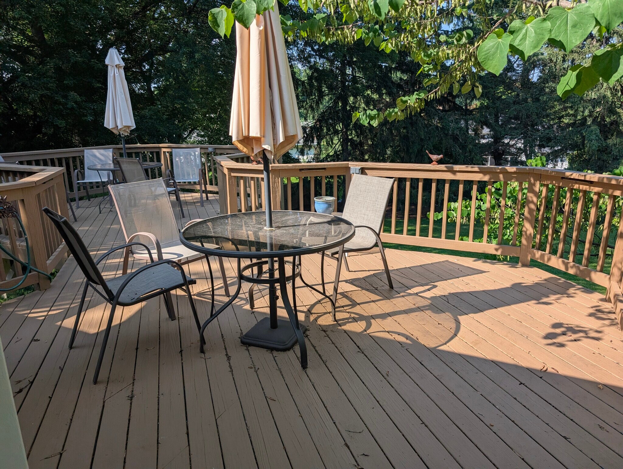 Deck access yard overlook - 14519 Dowling Dr