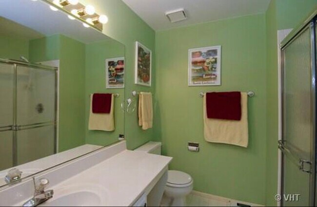 Master bathroom - 2403 Mallow Ct