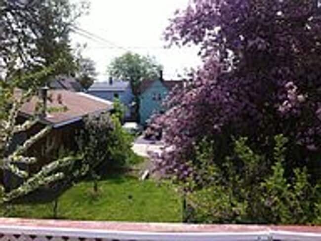 Building Photo - AVAILABLE JUNE - 3 Bed, 1 Bath Updated Home!