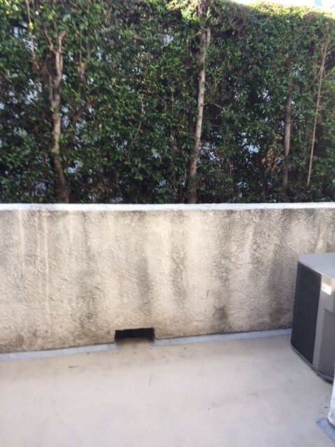 Building Photo - 707 S Webster Ave