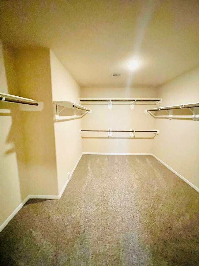 Building Photo - 2918 Isla Gorge Ct
