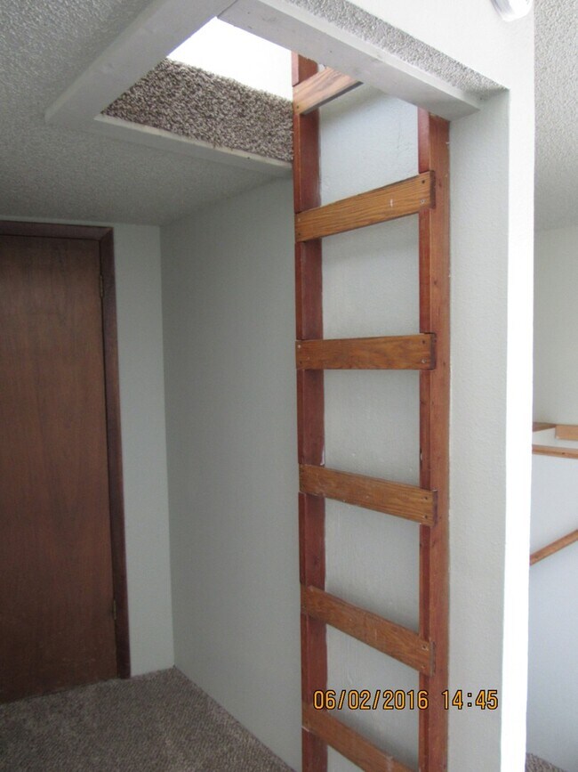 Building Photo - 749 Elder Ct