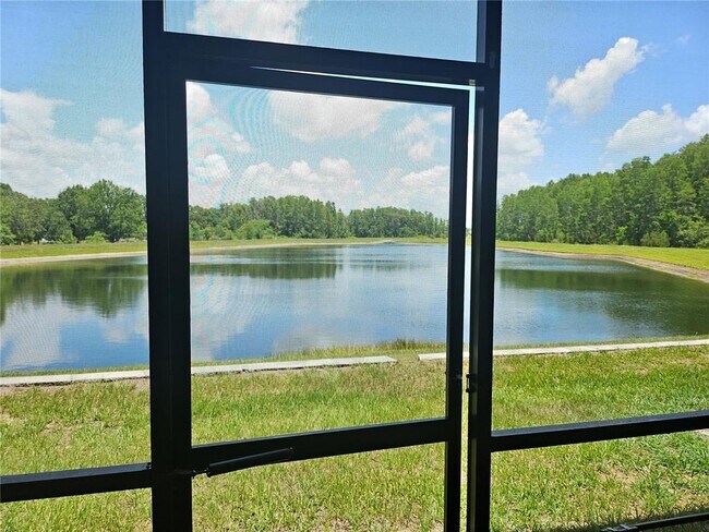 Building Photo - 2205 Cerulean Sky Dr