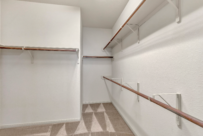 Building Photo - 17010 Colt Creek Ct