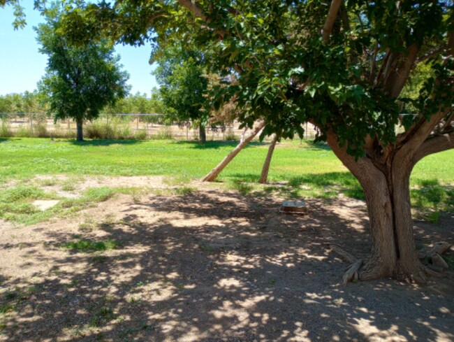 Building Photo - 6345 N Dona Ana Rd