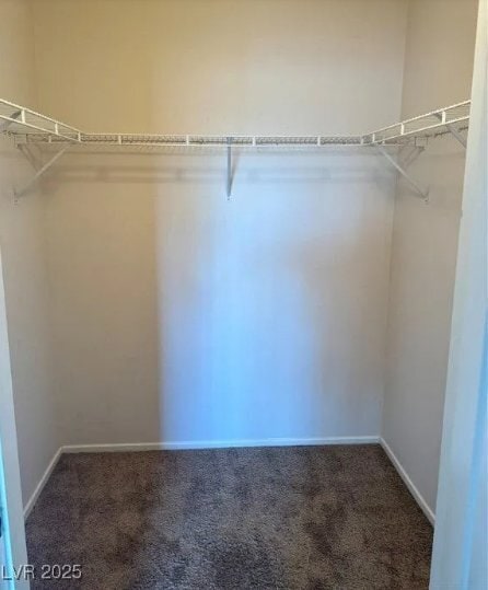 Building Photo - 9901 Trailwood Dr