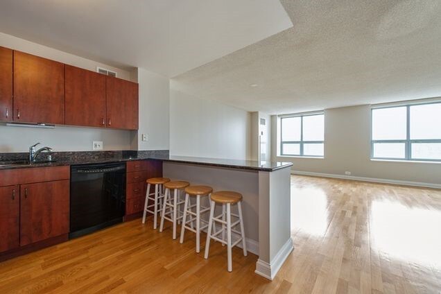 Building Photo - 474 N Lake Shore Dr