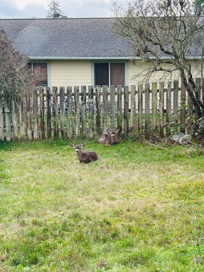 Building Photo - 3 Bedroom Home located in the heart of town! Close to everything!