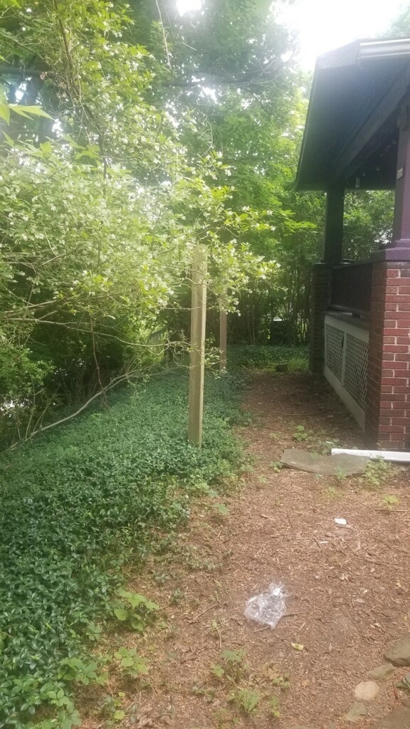 Building Photo - 718 Cliff St