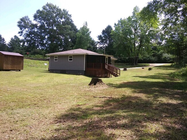 Back yard - 228 Chris Collins Rd