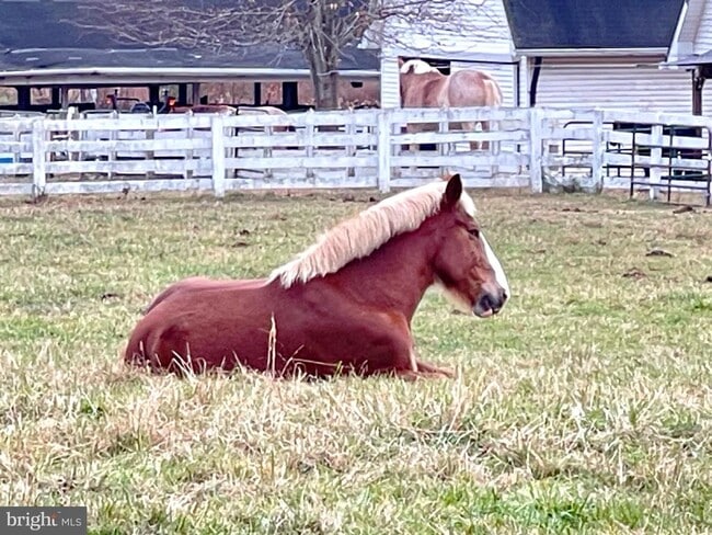 Building Photo - 44994 Serenity Farm Ln