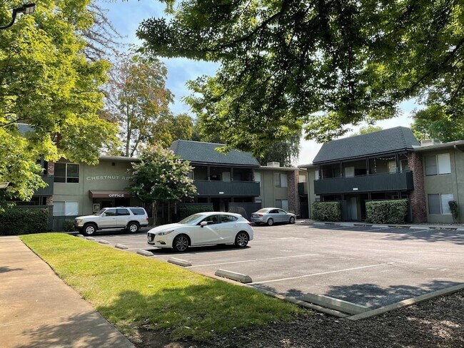 Interior Photo - **RESERVE FOR SUMMER 2026** 2 Bed 1 Bath near Chico State