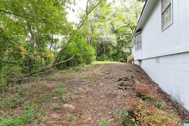 Building Photo - 4/2 Adamsville Home