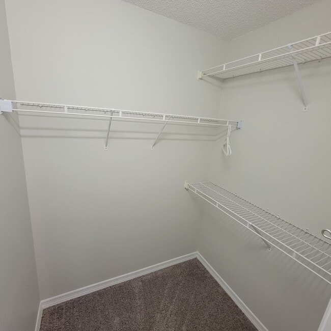 Building Photo - 3/2 Townhouse-Cookeville City Limits-End Unit