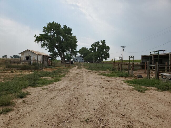 Building Photo - 4 Bedroom Horse Property on 3 acres close to downtown Ault