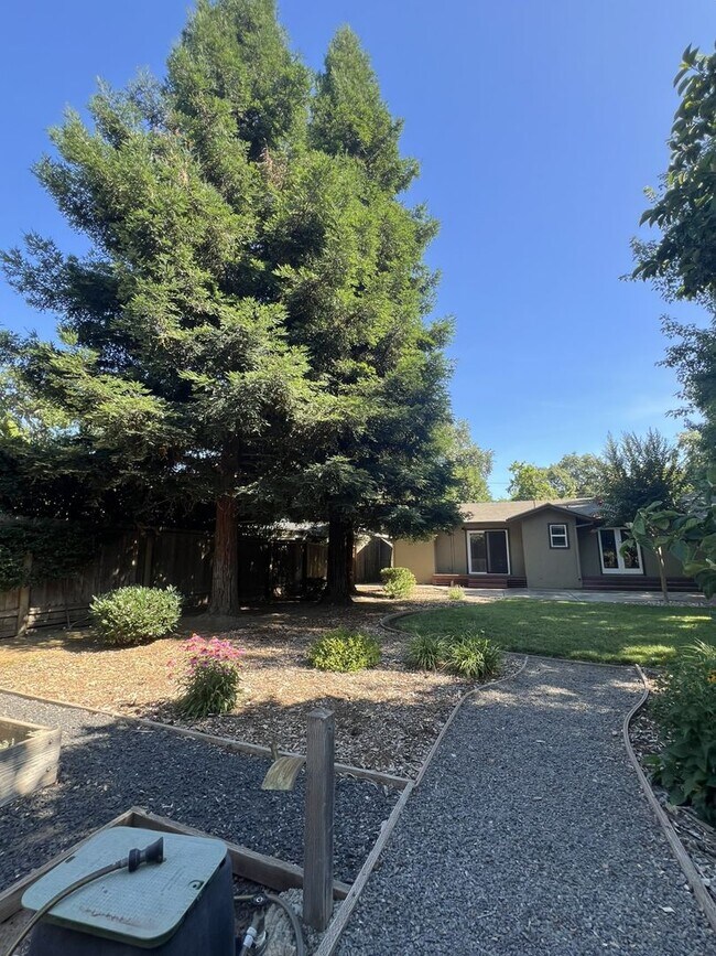 Building Photo - Immaculate 3/2 Near Big Chico Creek-Must See!