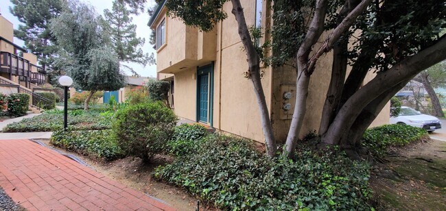 Building Photo - 570 Peach St