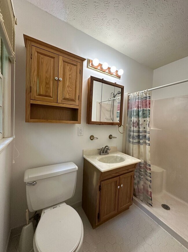 Building Photo - Available now,  3/2 with large unfinished basement, in University Heights