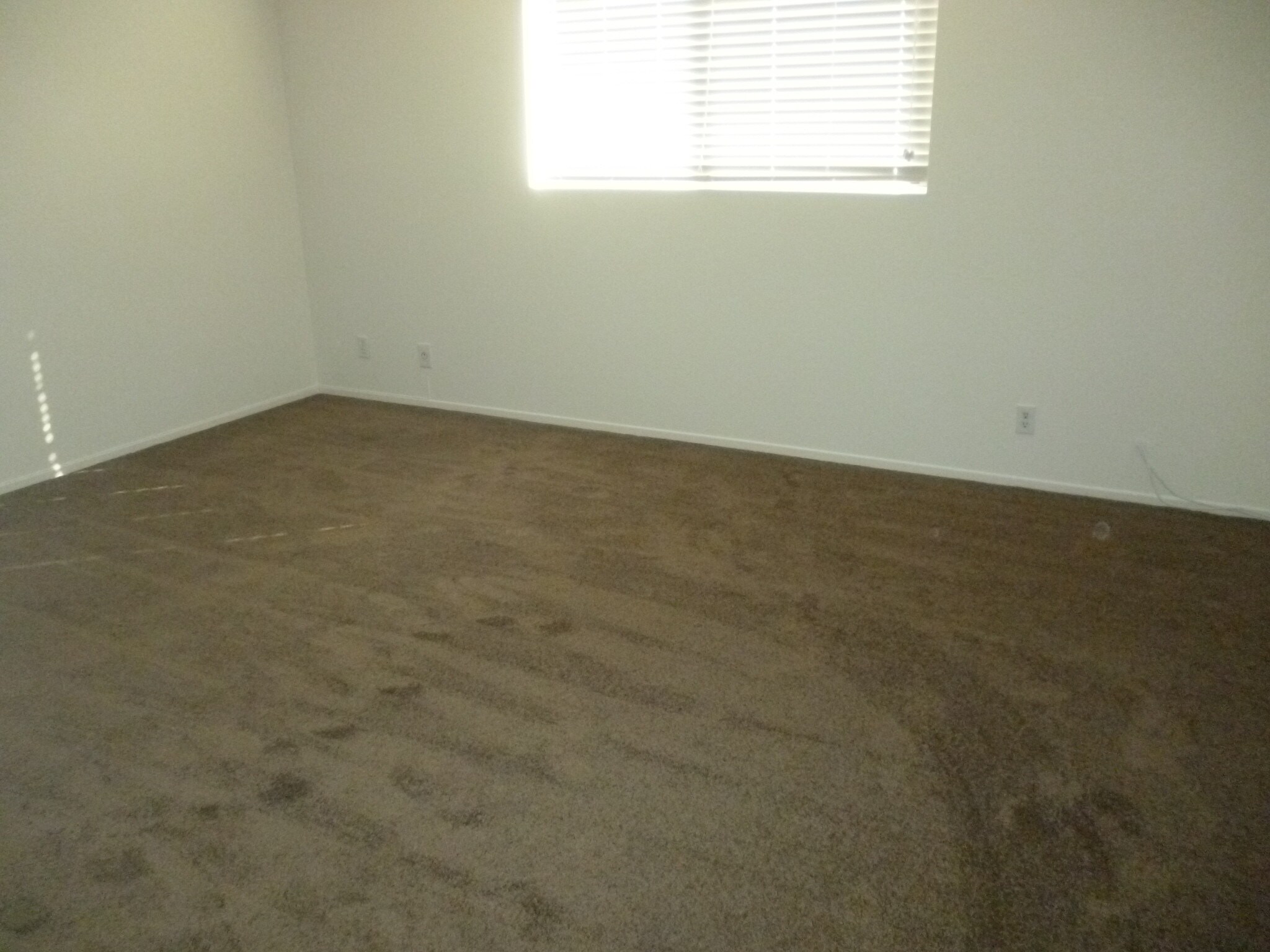 Building Photo - 2286 Pacific Ave